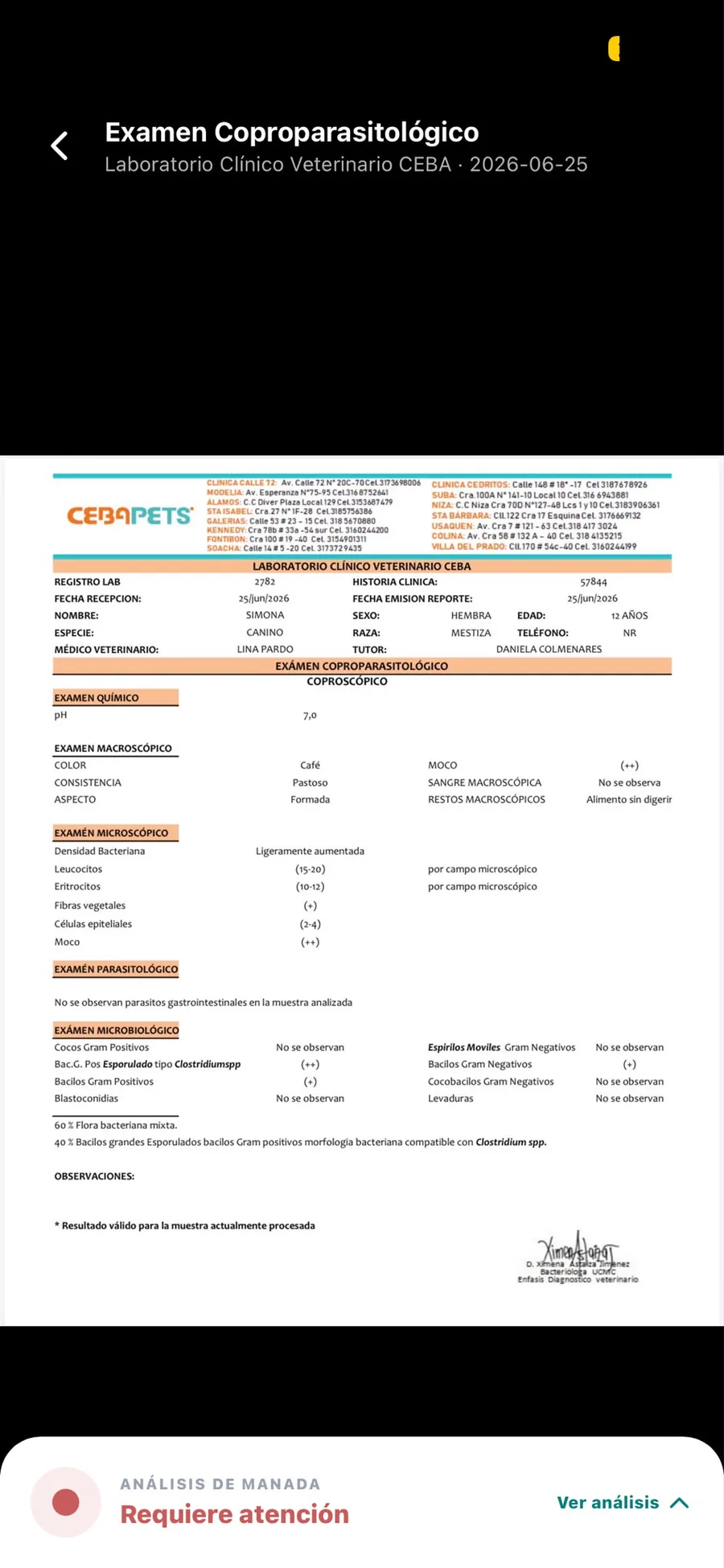 Manada explicando en palabras simples los resultados de un examen clínico
