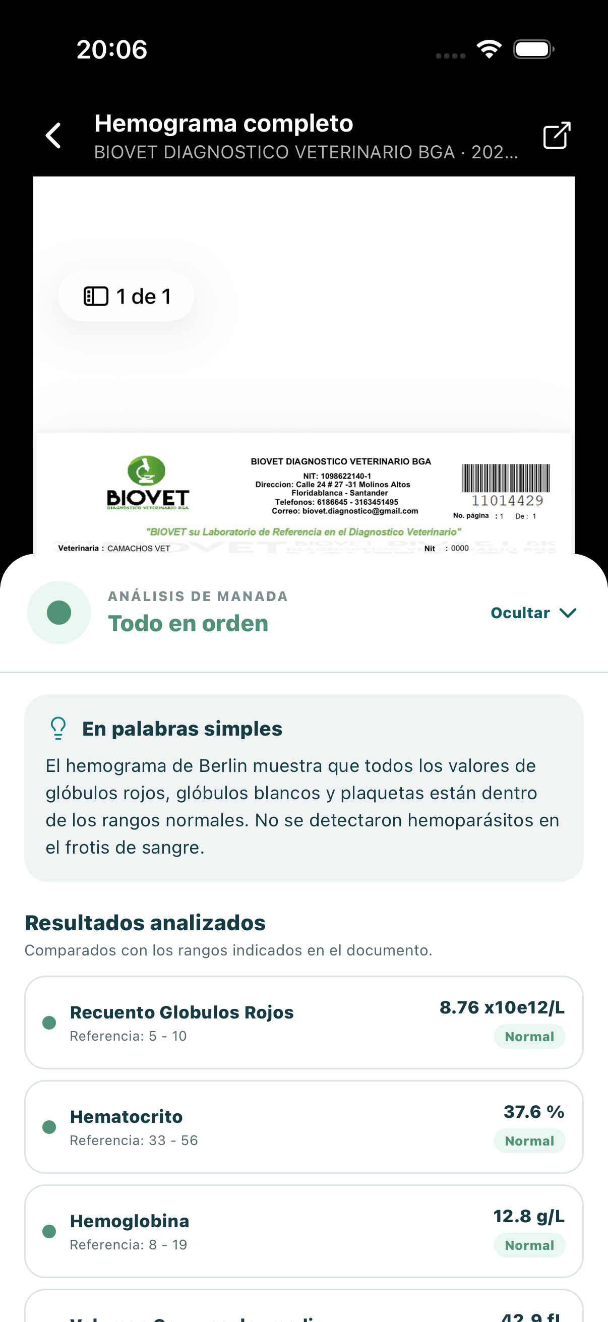 Hemograma completo dentro de manada: documento original del laboratorio, análisis en palabras simples y resultados analizados
