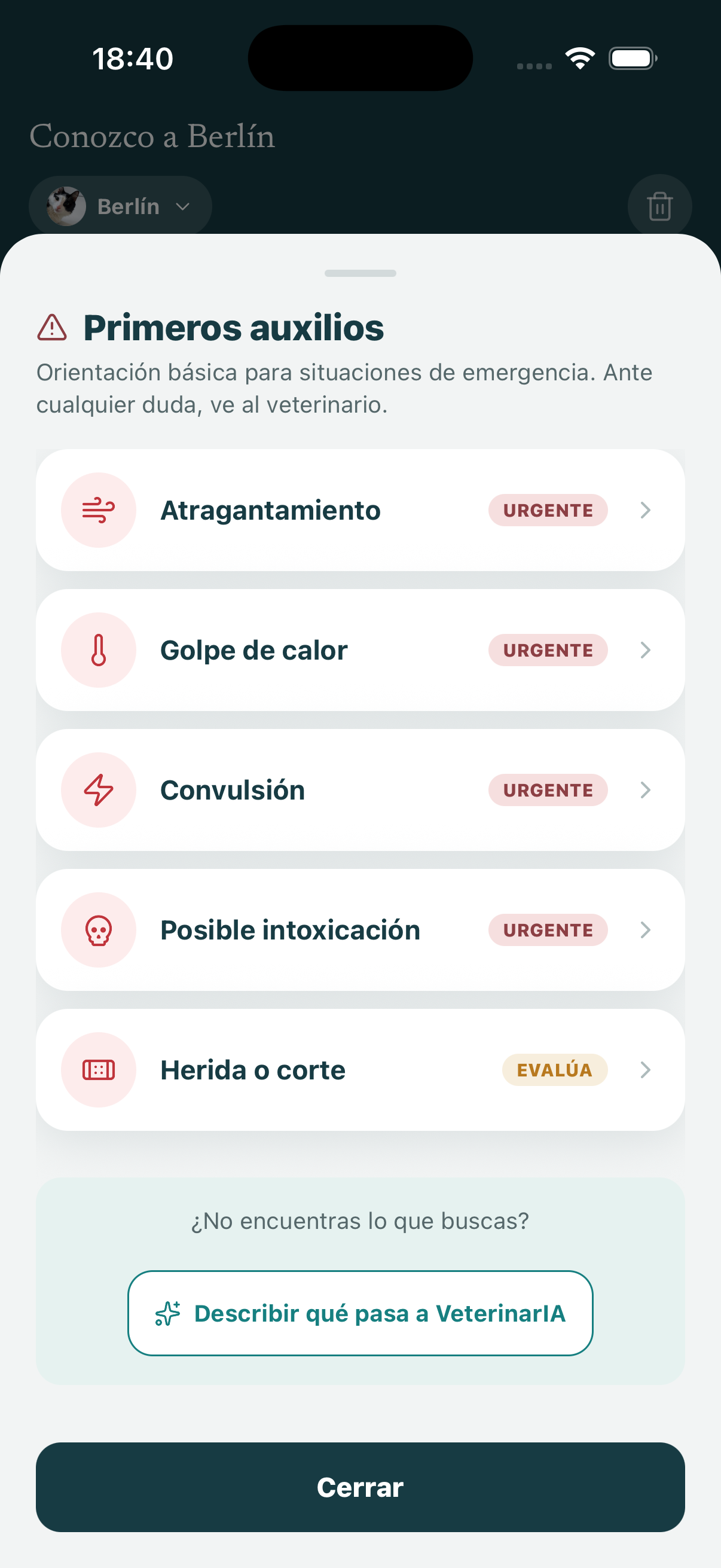 Guía de primeros auxilios de VeterinarIA, con las urgencias más frecuentes y su nivel de prioridad